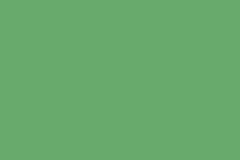 6601 Fall Green  (G3)